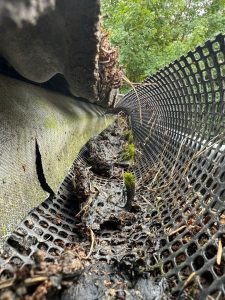 Verschmutze Dachrinne